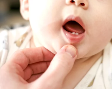 広島市歯医者　佐伯区歯医者　楽々園歯医者　海老園歯医者　廿日市市歯医者　えみたす歯科・矯正歯科　イオンタウン楽々園院　広島市でおすすめの歯医者　乳歯と永久歯の違い